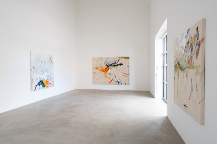 JASON CRAIGHEAD | THE MAP-LESS JOURNEY 11.4. - 4.5.2025