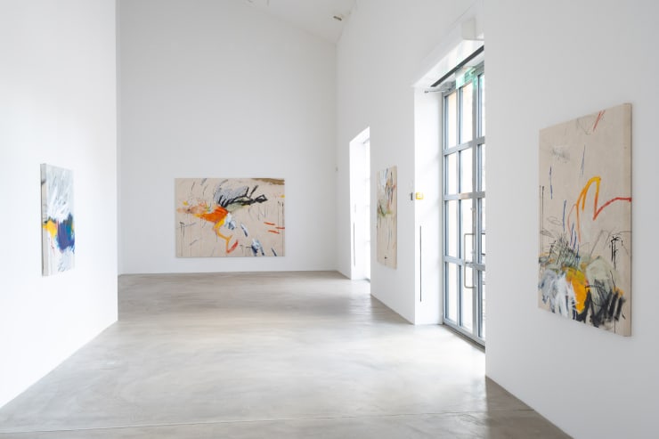 JASON CRAIGHEAD | THE MAP-LESS JOURNEY 11.4. - 4.5.2025