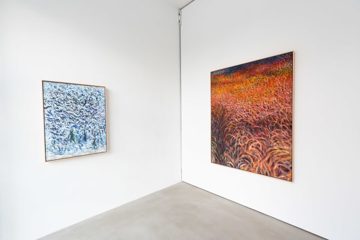 EEMIL KARILA | LOST IN THE WOODS 21.11.2O25 - 4.1.2026