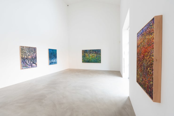 EEMIL KARILA | LOST IN THE WOODS 21.11.2O25 - 4.1.2026