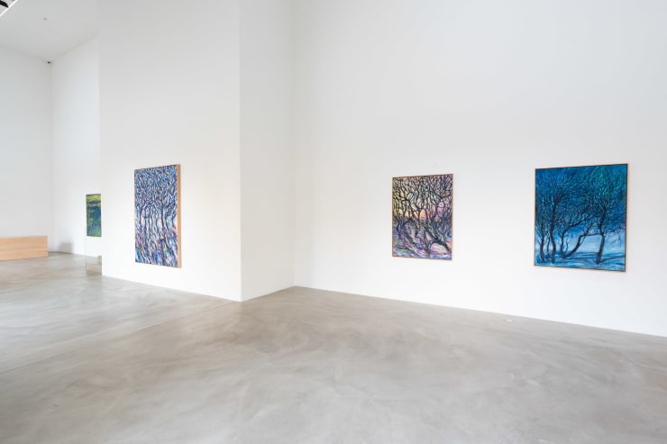 EEMIL KARILA | LOST IN THE WOODS 21.11.2O25 - 4.1.2026