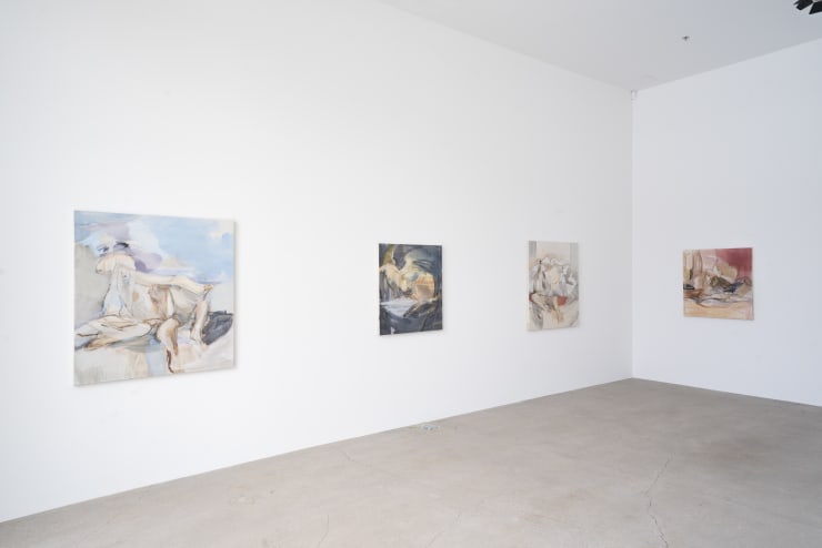 Puro Harri Installaatio 4