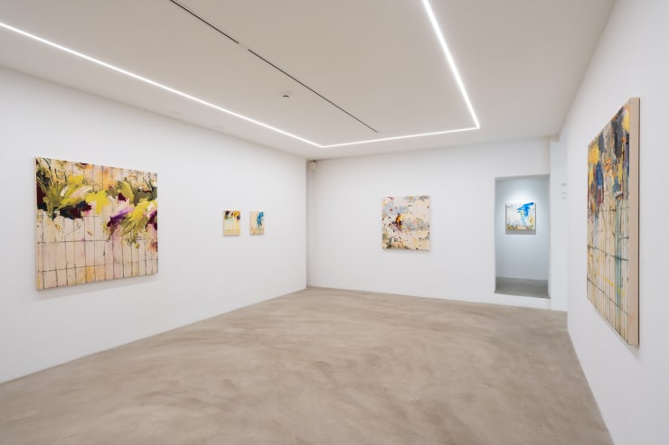 MIKKO PAAKKONEN Maps, Fields and Fences