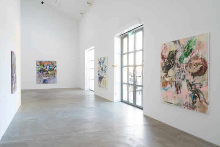 HANNES SCHAUER Chocolate for a Swan