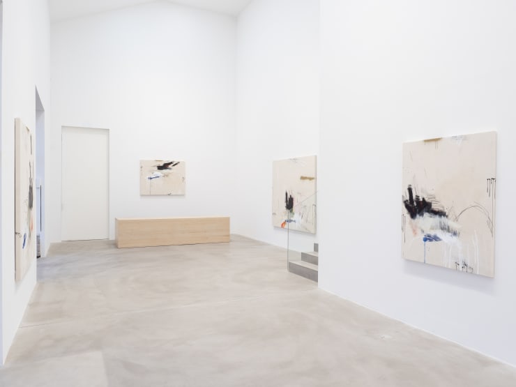 JASON CRAIGHEAD ENDLESS RIVER