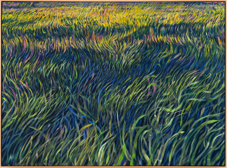 EEMIL KARILA, Lost In The Woods