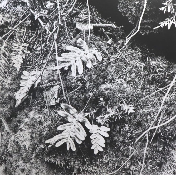 Yuichiro Sato & Tiina Pyykkinen