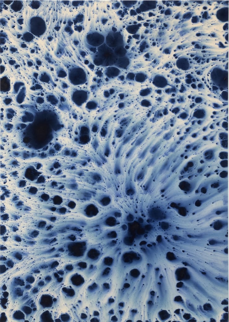 ALEJANDRO PIÑEIRO BELLO'S FIELDS ON VIEW UNTIL APR 25TH, 2021