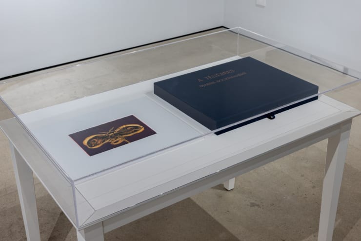 2025 11 Djabril Boukhenaissi 17