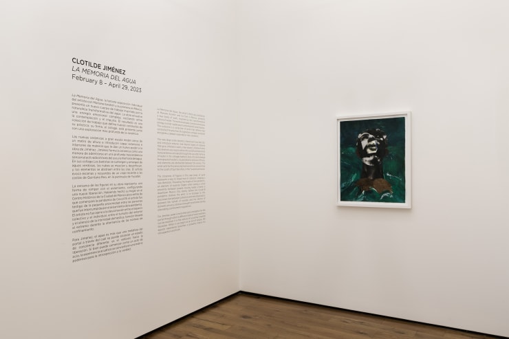 Clotilde Jimenez Night Bather 2022 Installation Detail Courtesy Of Mariane Ibrahim