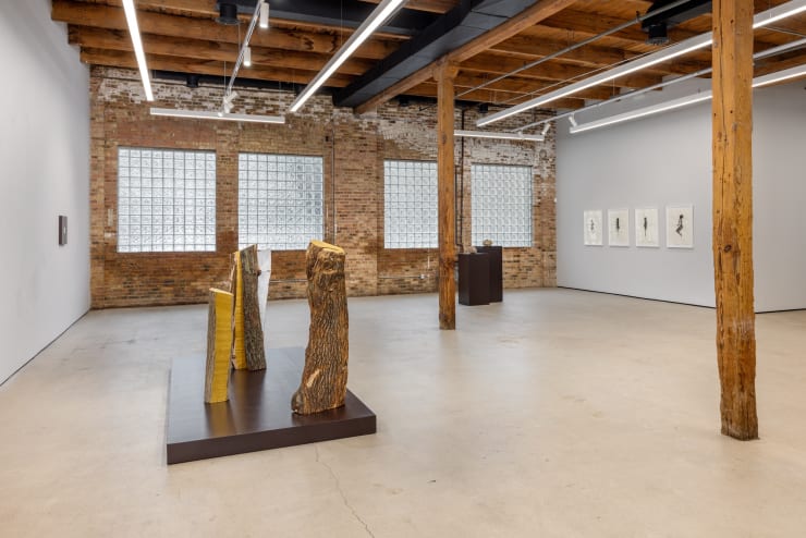 2025 02 Mwangi Hutter Installs 12