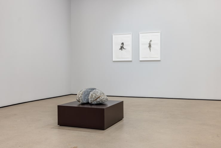 2025 02 Mwangi Hutter Installs 5