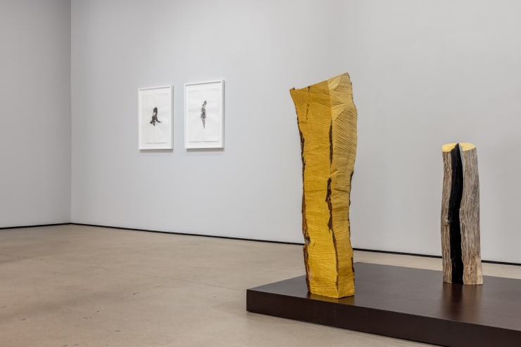 2025 02 Mwangi Hutter Installs 6