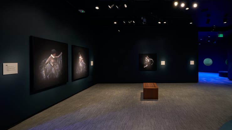 From the Deep: In the Wake of Drexciya. Photograph taken by Brad Simps. Courtesy of Smithsonian National Museum of African Art.
