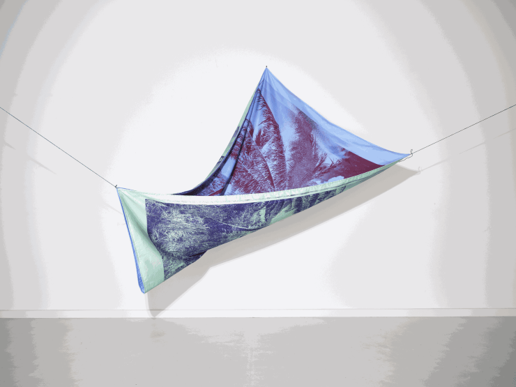 Loosing Paradise installation