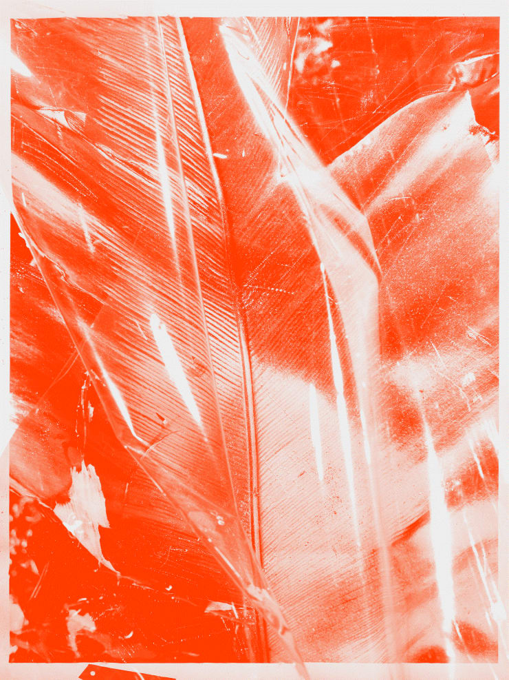 INVOLUTION 01, 2020 Large scale photograph, archival pigment print on 100% cotton paper