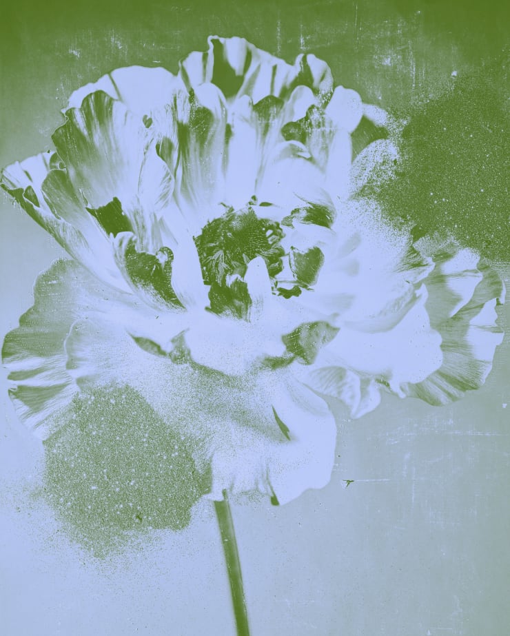 Anima, Anima Anima, 2021 100 x 125 cm