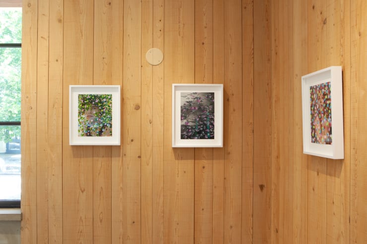 Mg 1501 The Flowers Alex Katz And Michael De Feo At Craven Contemporary 2500 Pixels Wide