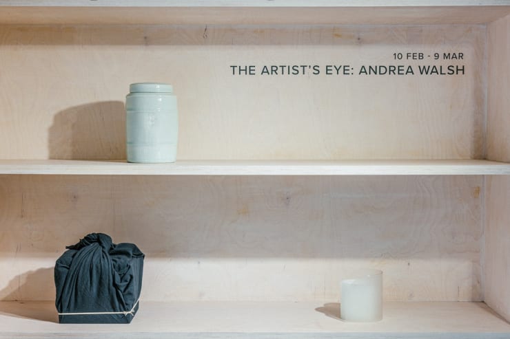 The Artist's Eye : Andrea Walsh