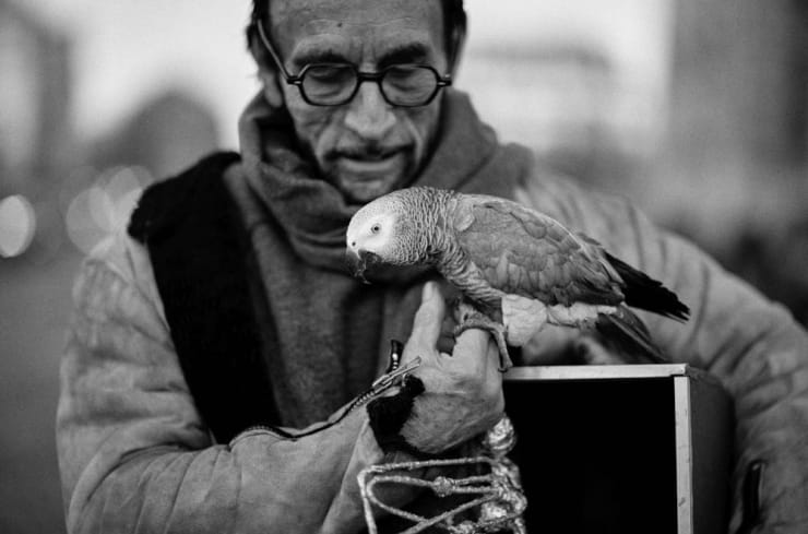 221117 Paris Edits 231