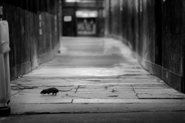 201222 2020 Review 07