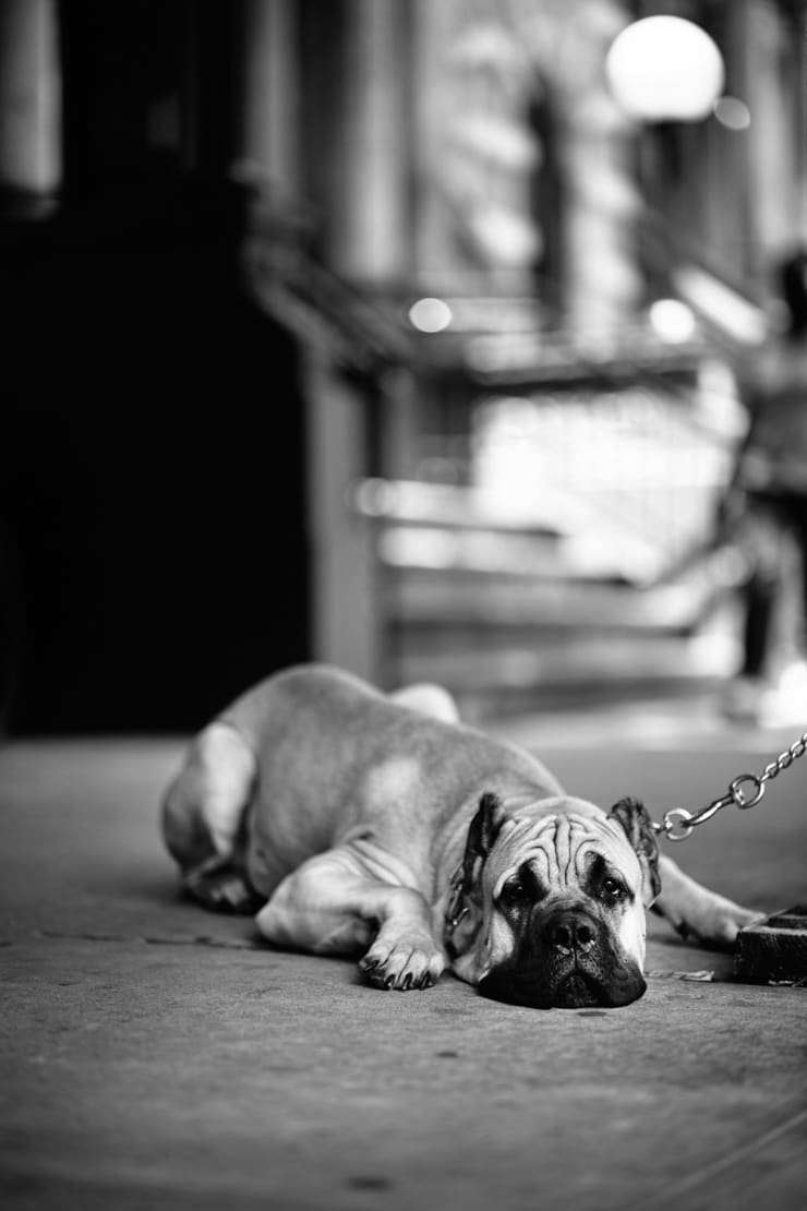 210620 Harlem Criterium Nyc 053