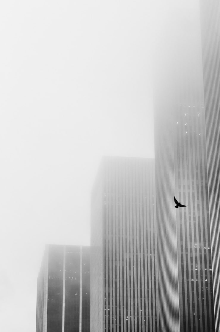 NYC EXCLUSIVE WORKSHOP SEPT 21-22 2024