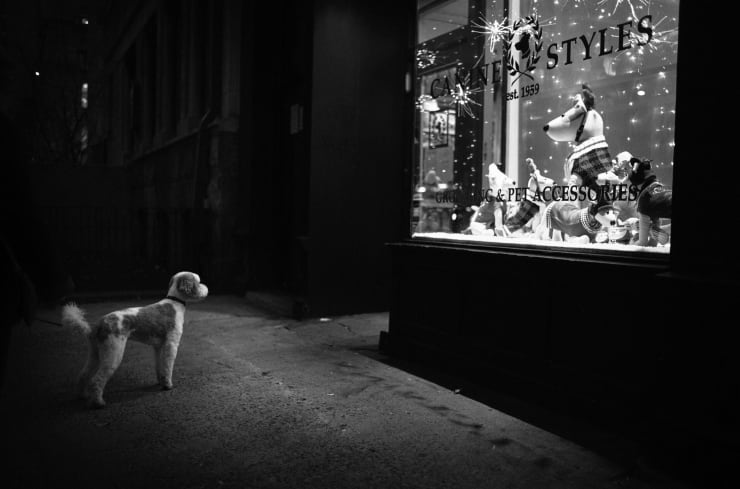 An In-Person Event at SVA