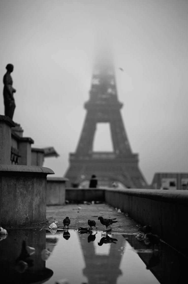 The Streets of Paris By Phil Penman