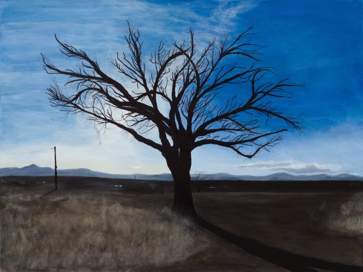 Naked Yearning, High Desert, Timothy Spall