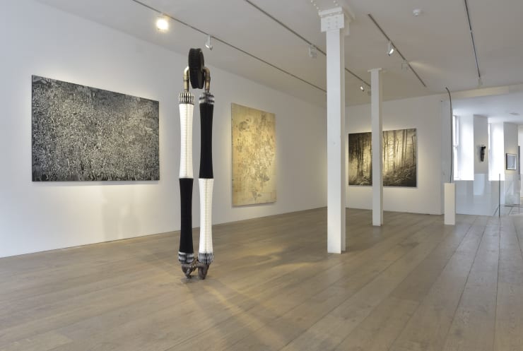 Installation view