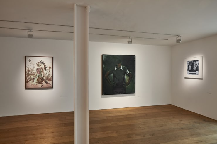 Rosenfeldporcini Figure 023 Copy