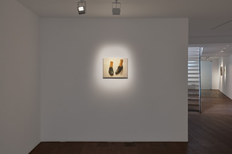 Rosenfeldporcini Installs 030 Low Res