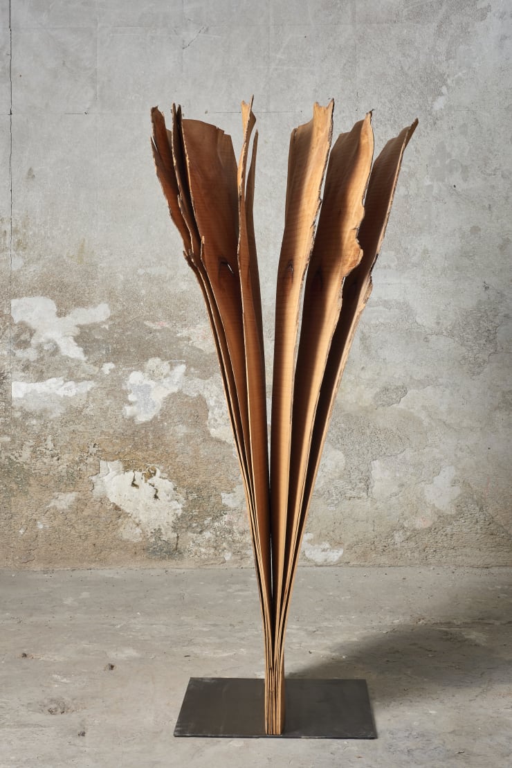 Herbert Golser spring, 2016