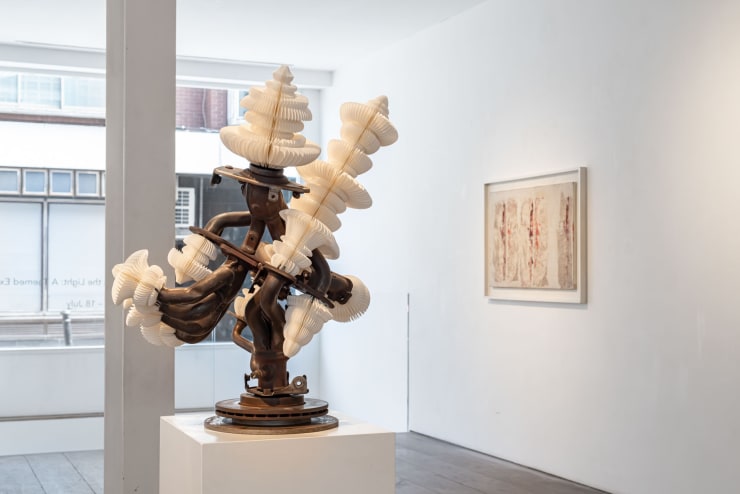 Gallery Rosenfeld Hires 000014 1