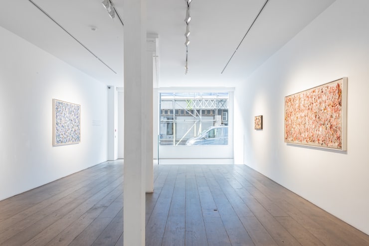 Installation Views 001