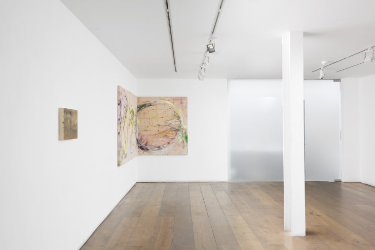 Rosenfeld Not A House 004