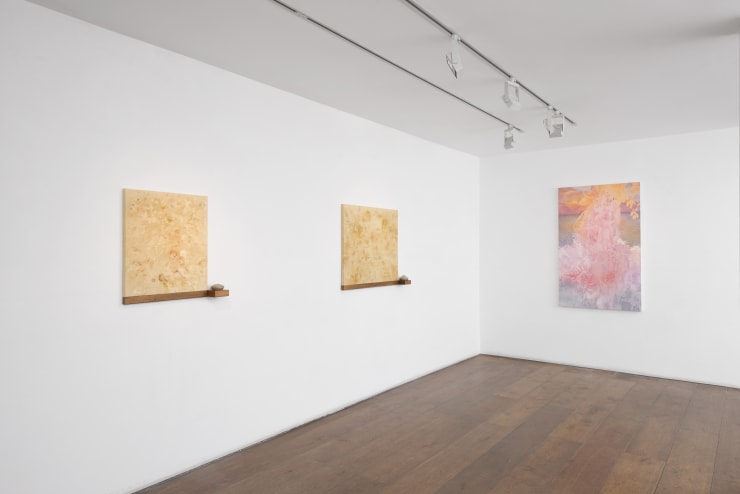 Rosenfeld Not A House 022