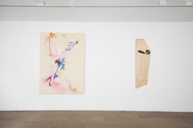 Rosenfeld Not A House 069