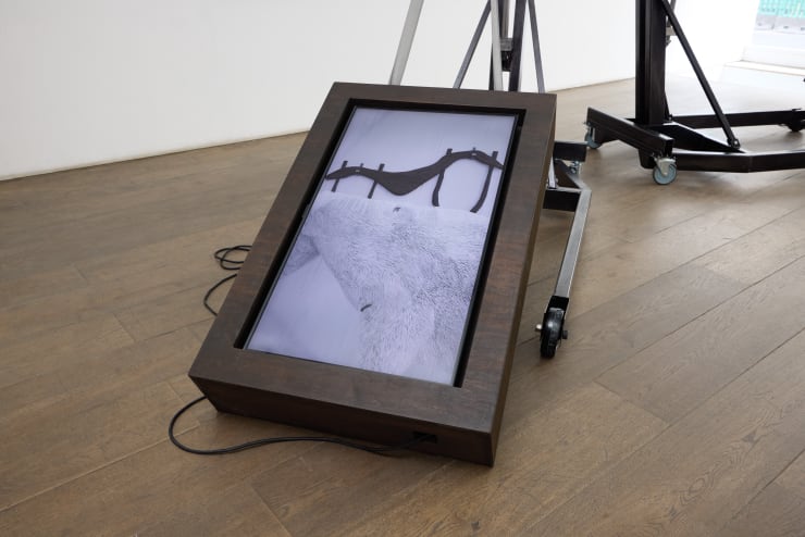 Rosenfeld Not A House 173