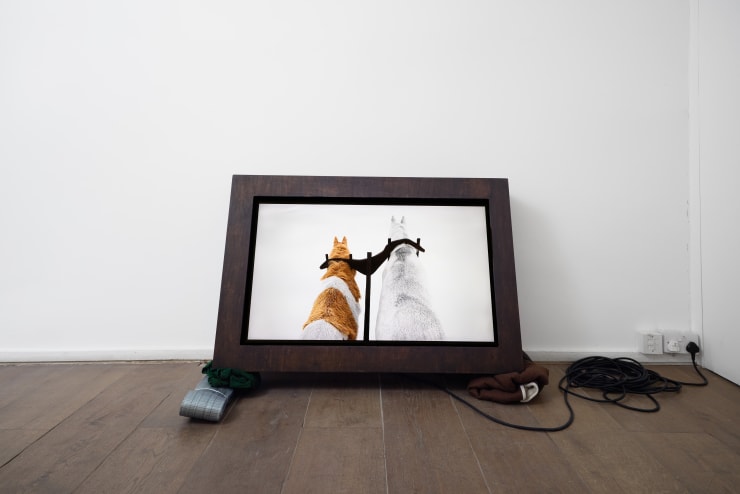 Rebekka Homann Beast of Burden II, 2025