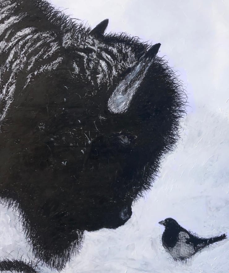 Shabs Beigh, Bison And A Magpie, 2019