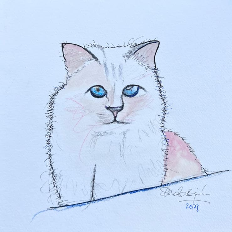 Shabs Beigh, Choupette 1, 2023