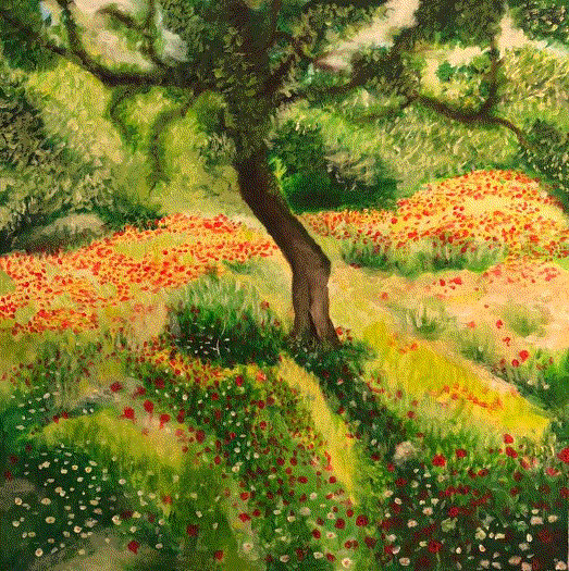 Shabs Beigh, Wild Poppies