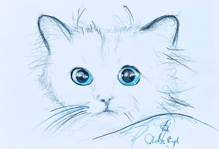 Shabs Beigh, Choupette 2, 2023