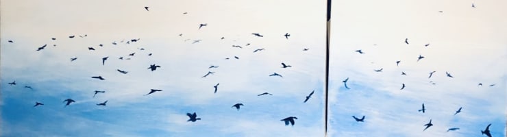 Shabs Beigh, Birds In Flight, 2019