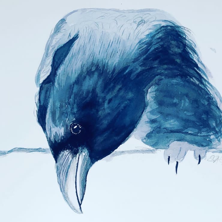 Shabs Beigh, Peeping Raven, 2020