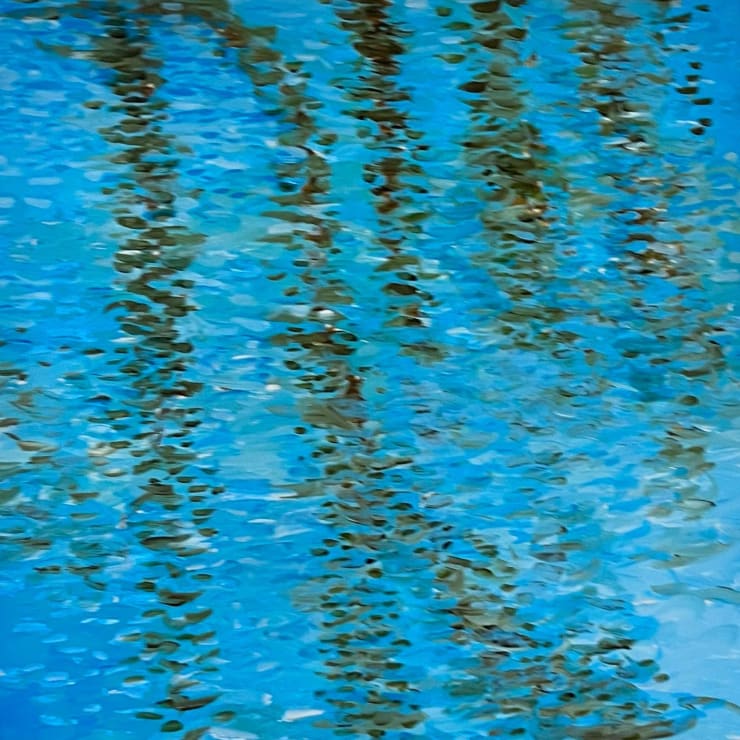 Shabs Beigh, Reflections 2, 2022