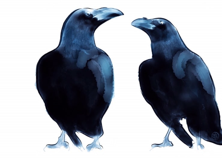 Shabs Beigh, Raven Giclee - Limited Edition Art Print, 2020