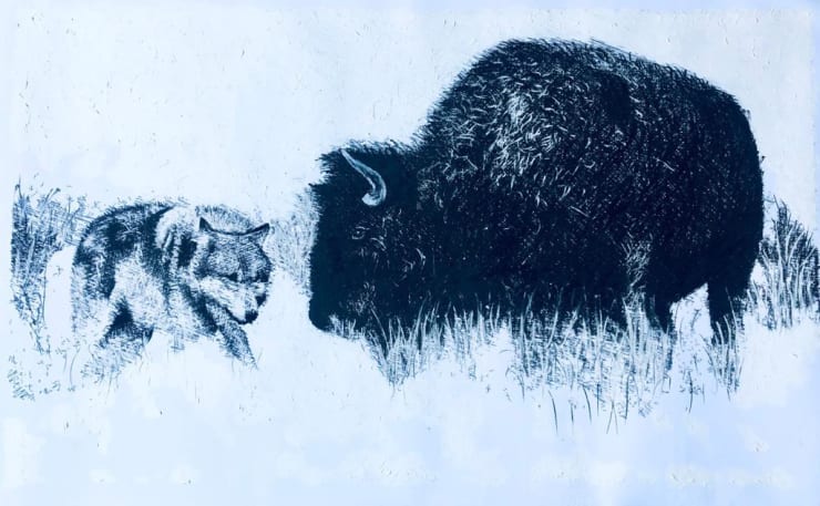 Shabs Beigh, Bison & Wolf, 2019